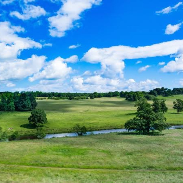 【説明欄☆必読☆】何でもお話くだされば幸いです