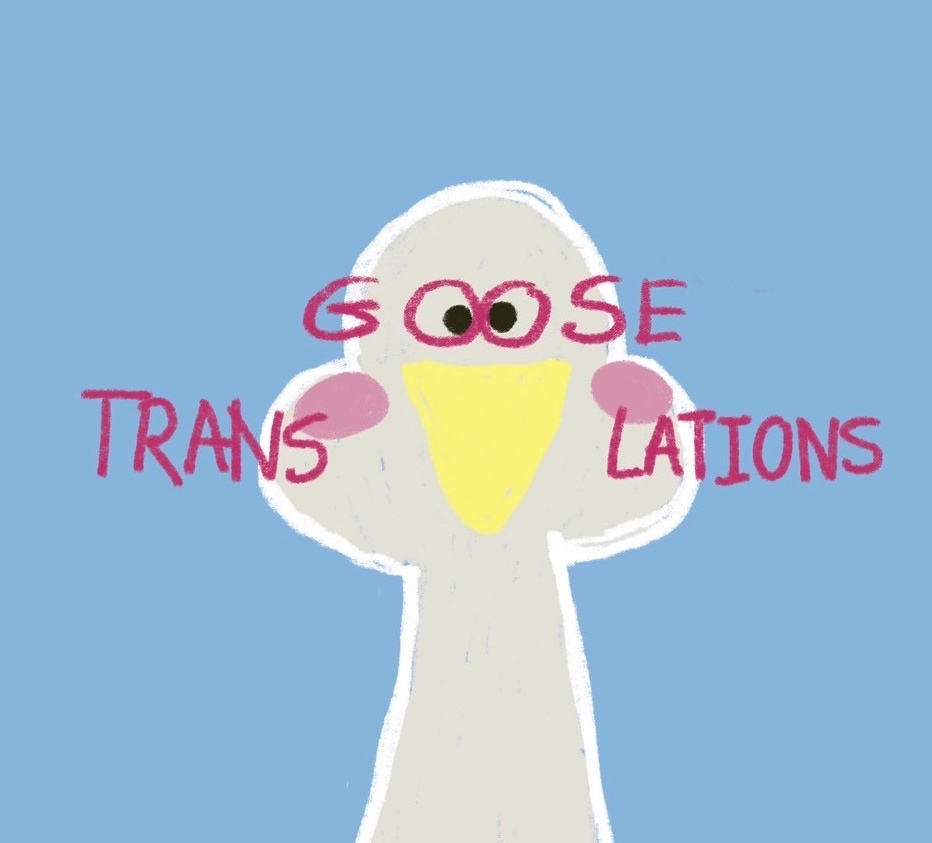 Goose Translation-0