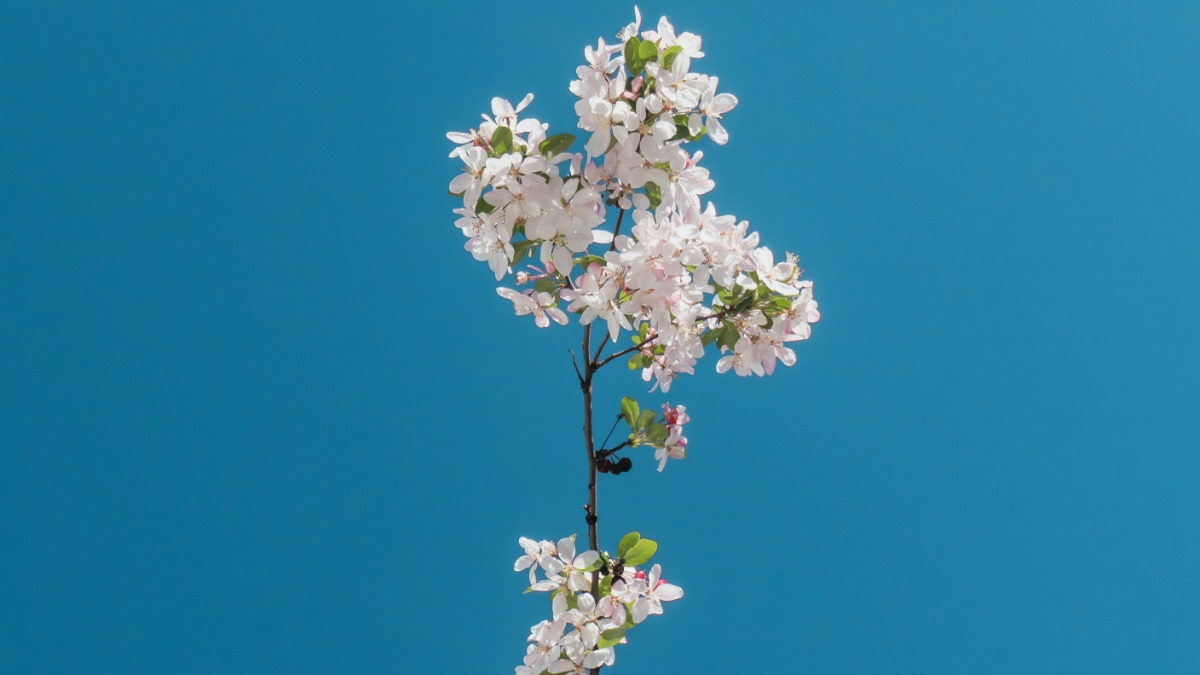 Kỹ năng kiểm thử-0