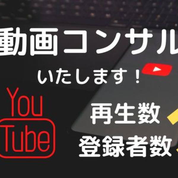 YouTube 동영상 성공을 위한 컨설팅을 제공합니다-0
