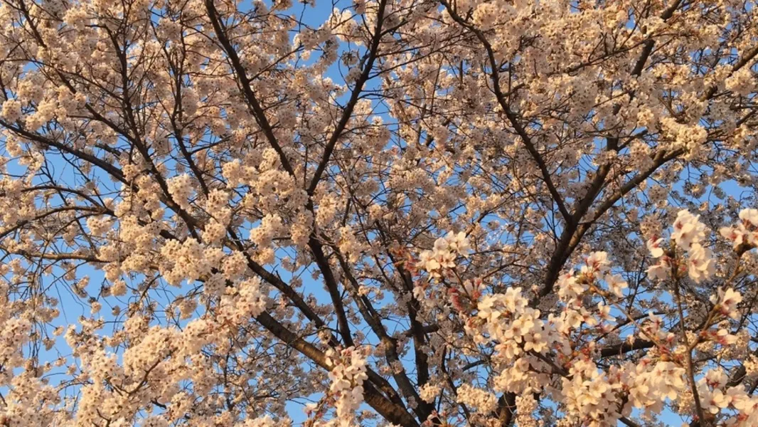 ตามอารมณ์-0