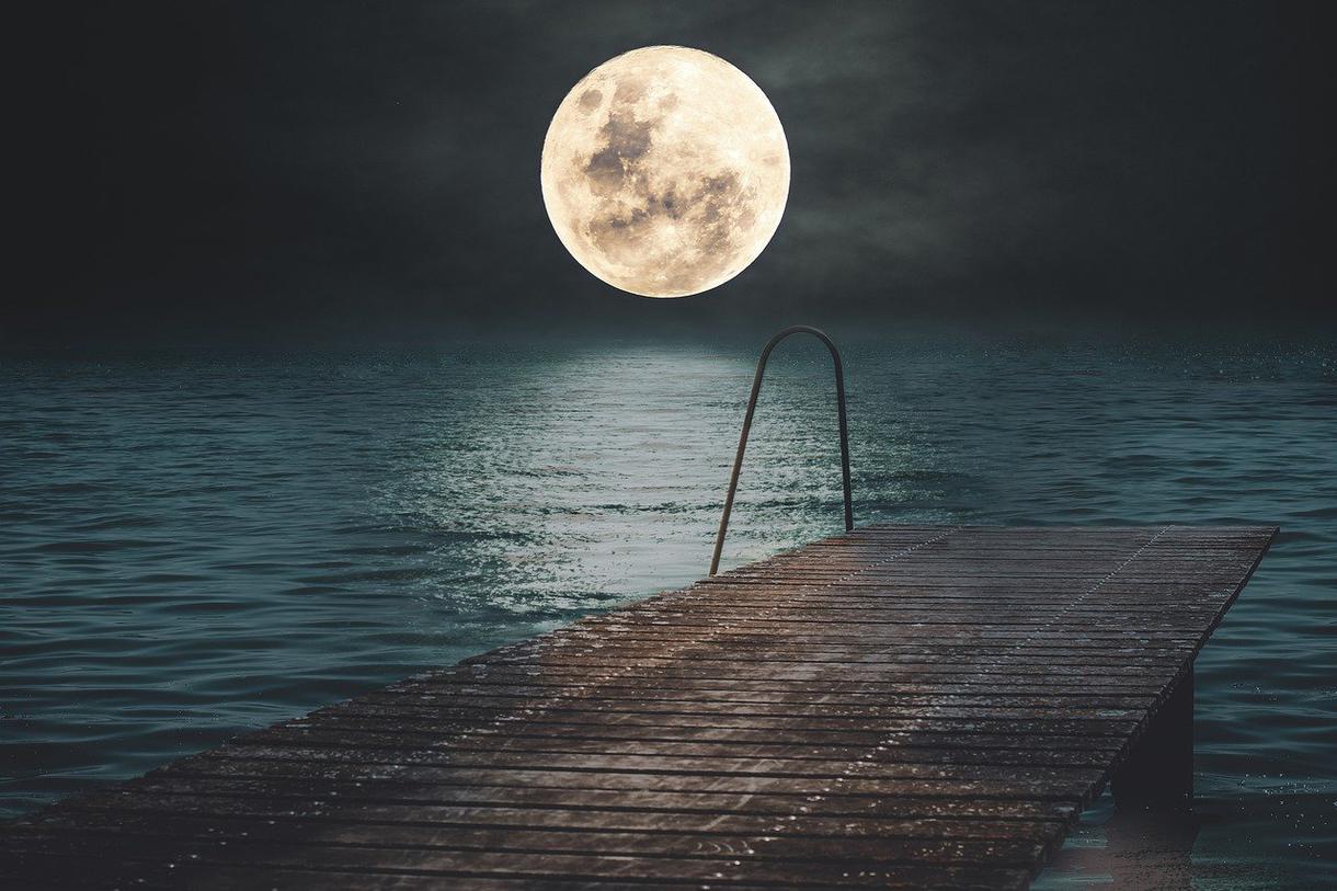 [Trial] I will answer one question using tarot + spiritual vision.-0