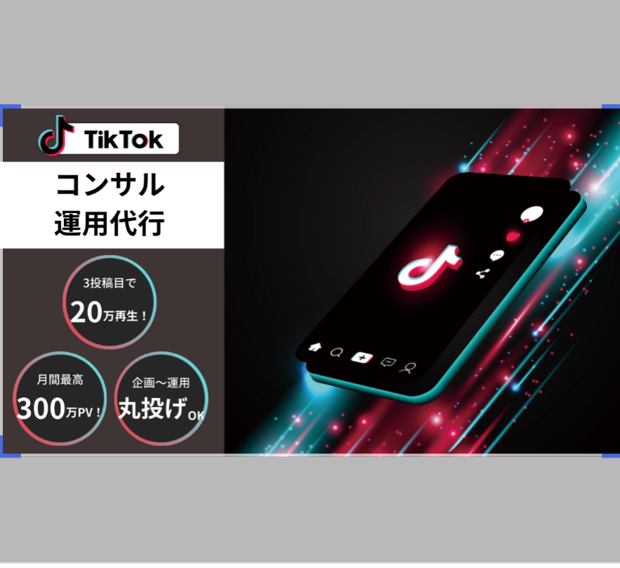 【公認TikToker監修】コンサル・運用代行