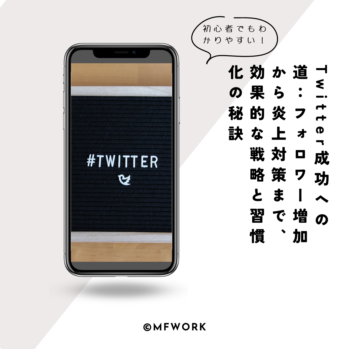 商务人士必备的Twitter成功手册-0