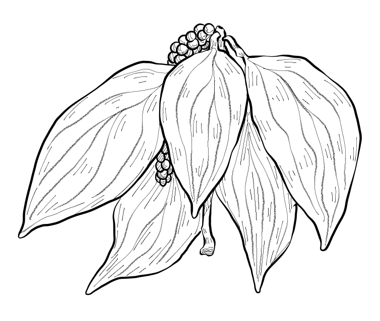 8.png-10