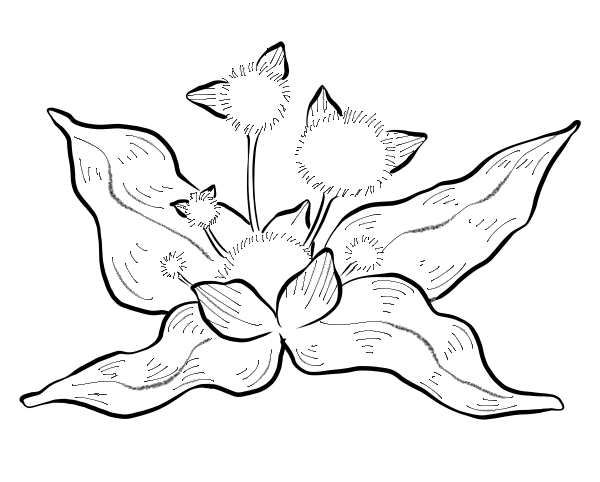 2.png-12