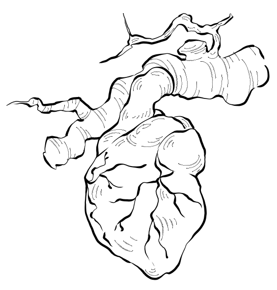 3.png-13