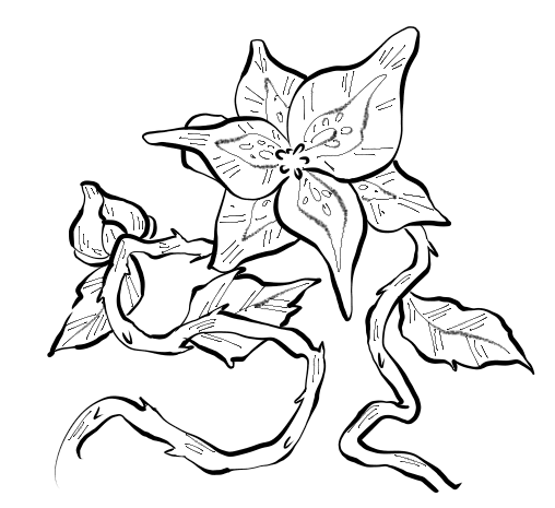 5.png-15