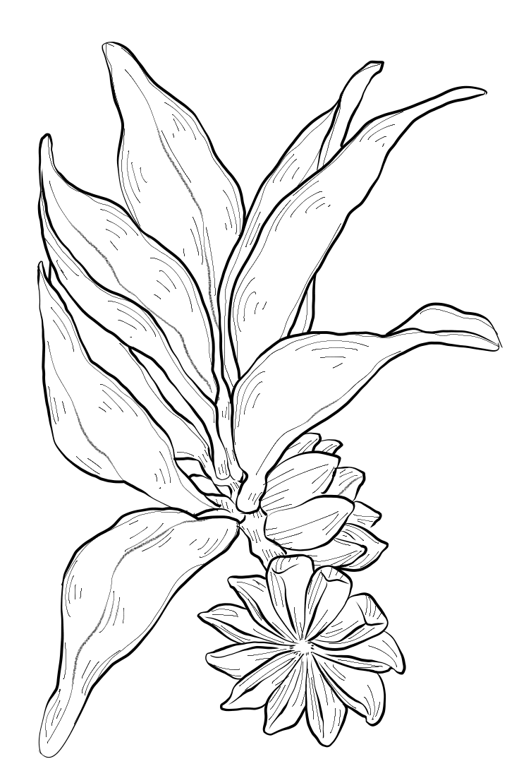 10.png-6