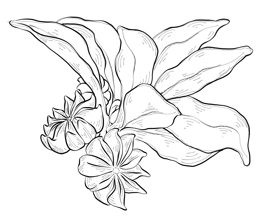 11.png-7