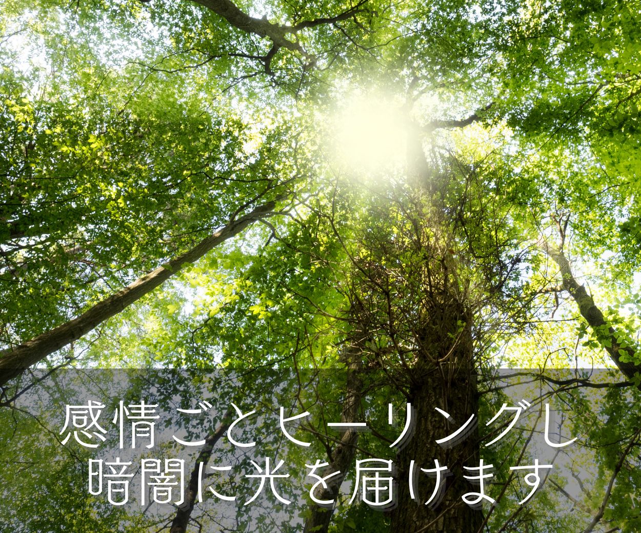 16.jpg-2