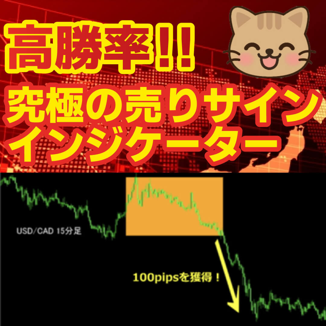 product-image-7