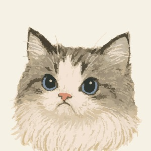 user-avatar-708036