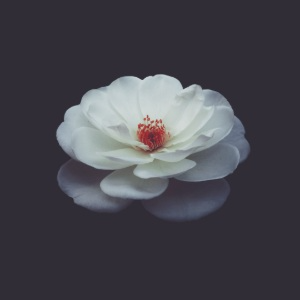user-avatar-710172
